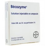 BECOZYME 12/AMP