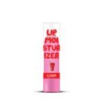 ???? ???? ?????? 4 ?? ???? ???