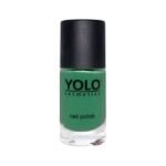 YOLO NAIL POLISH 243
